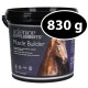 Muscle Builder