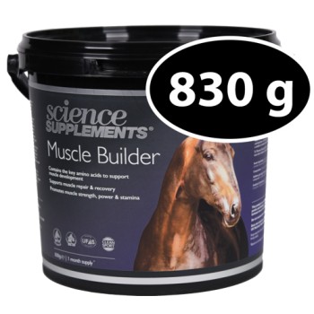 Muscle Builder