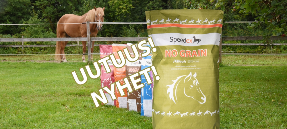 NOGRAINSHOPBANNER.jpg