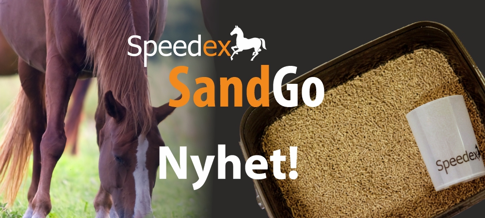 sandgo_nyhet.jpg