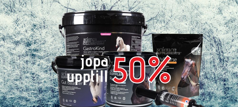 shopbanner_012023.jpg