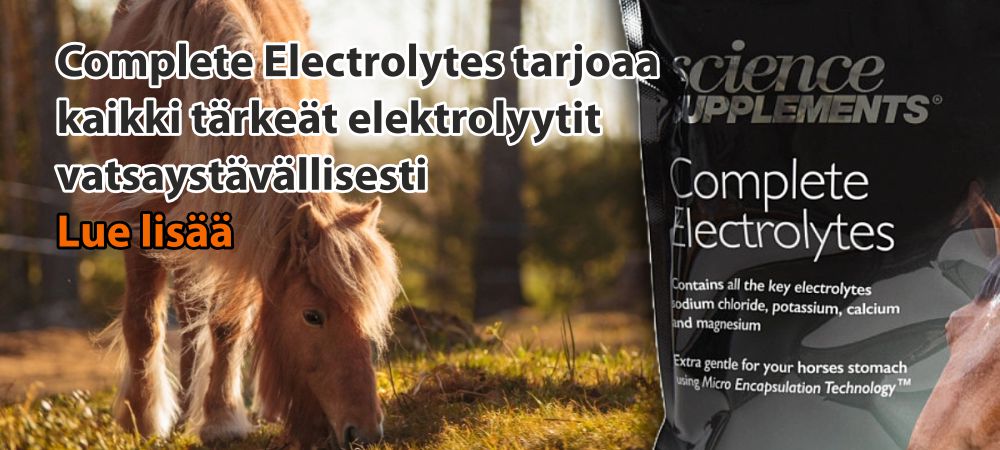 speedexshop_elektro_fi.jpg