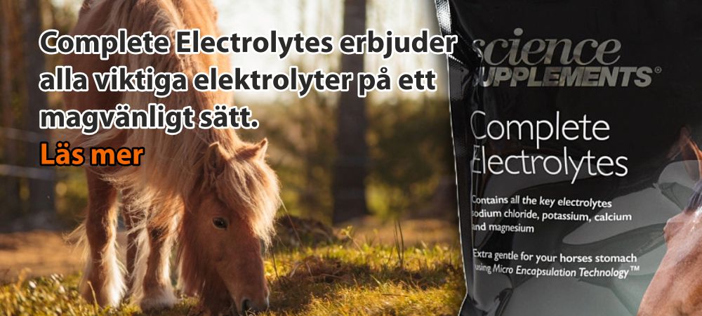 speedexshop_elektro_sv.jpg