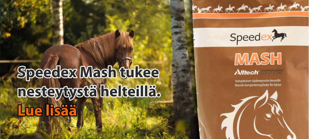 speedexshop_mash_fi.jpg
